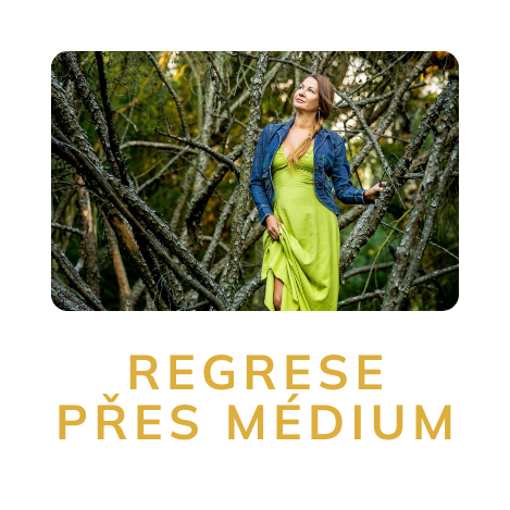 regerese_medium_mini